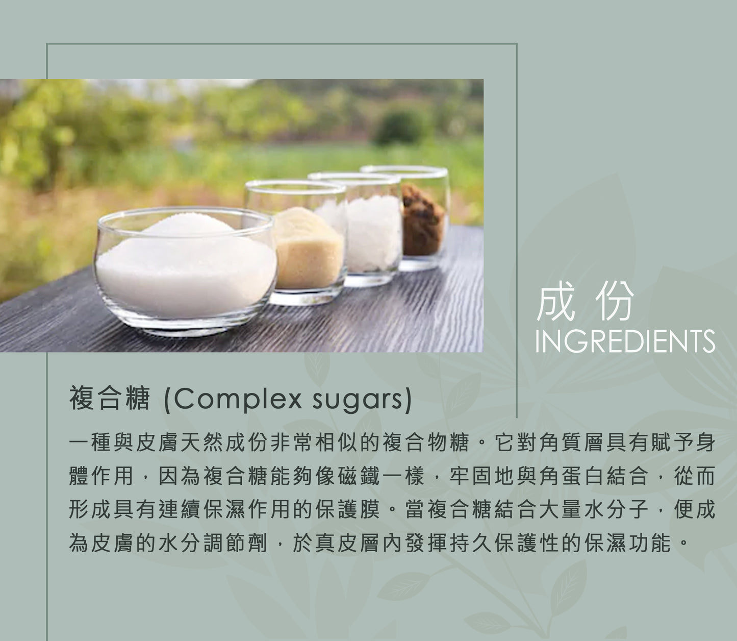 INCO – OSMO LUV 深層淨化劑 - 激活頭髮濃密度