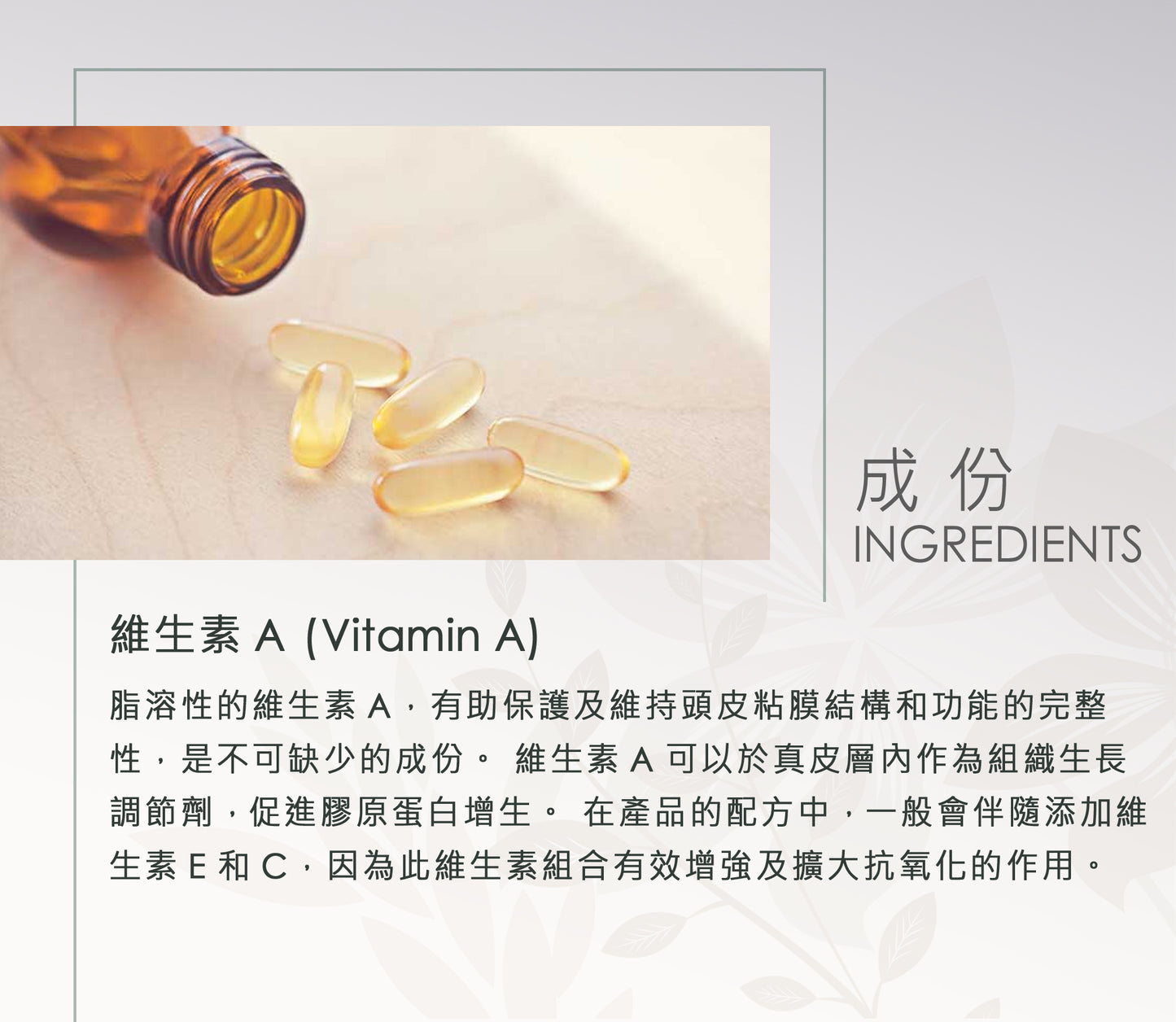 INCO – OSMO LUV 熱循環激活精華 - 刺激真皮層毛囊