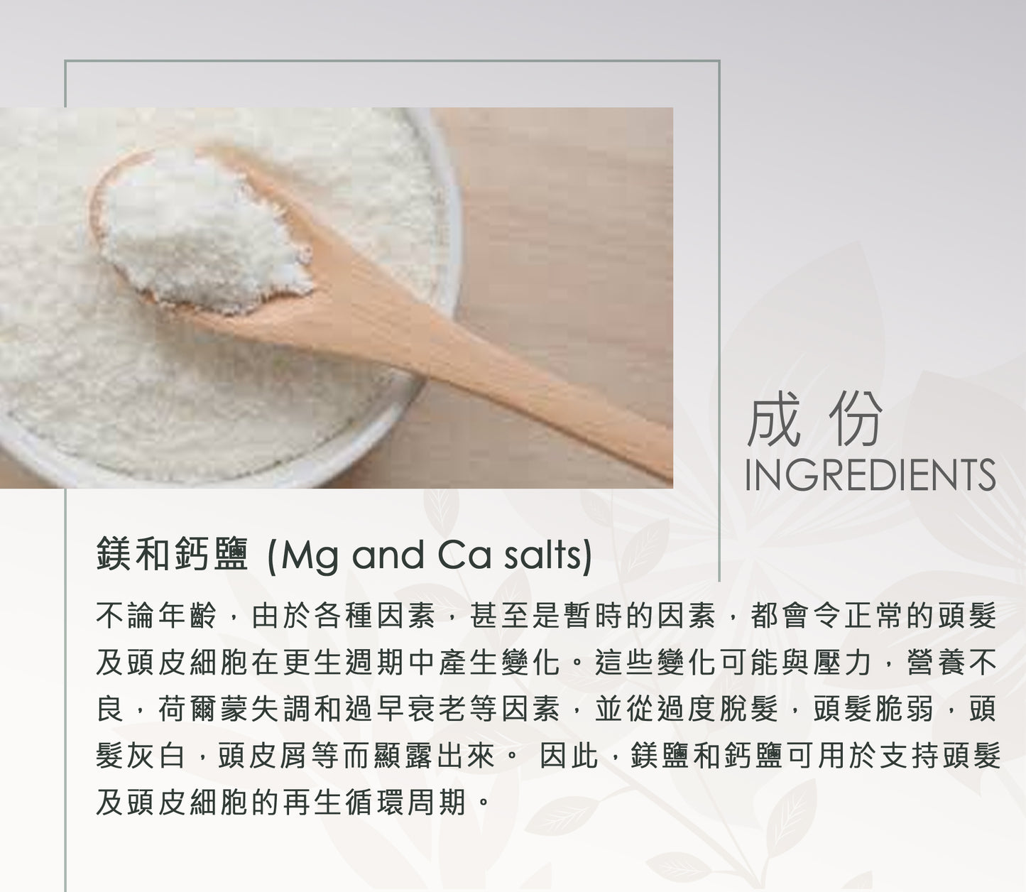 INCO – OSMO LUV   熱循環激活精華 - 刺激真皮層毛囊